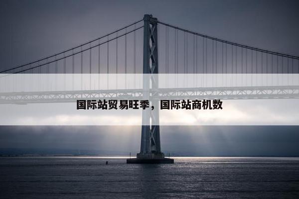 国际站贸易旺季，国际站商机数