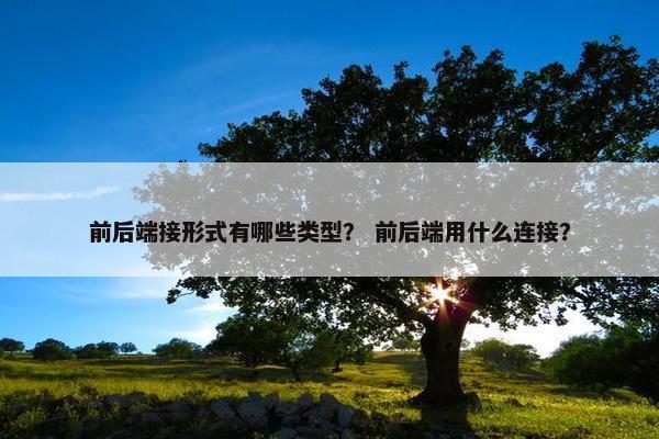 前后端接形式有哪些类型？ 前后端用什么连接？