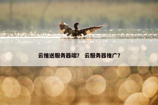云推送服务器端？ 云服务器推广？