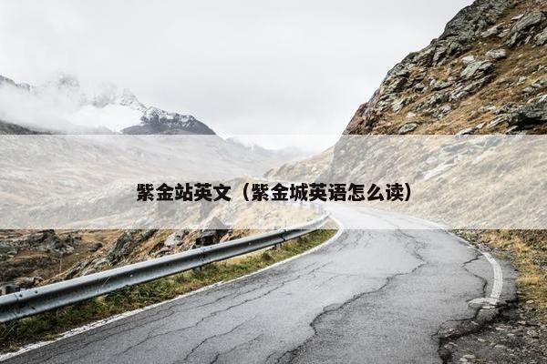紫金站英文（紫金城英语怎么读）