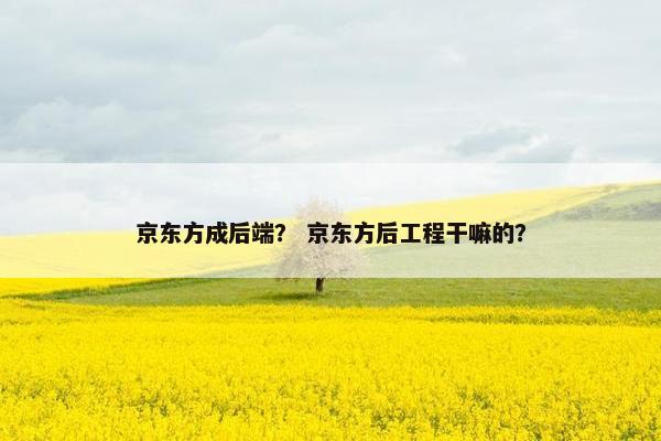 京东方成后端？ 京东方后工程干嘛的？