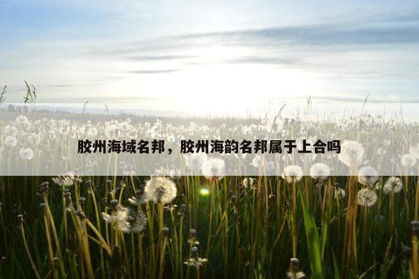 胶州海域名邦，胶州海韵名邦属于上合吗