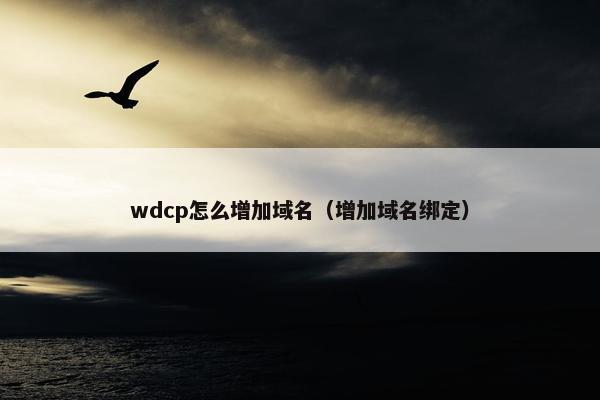 wdcp怎么增加域名（增加域名绑定）