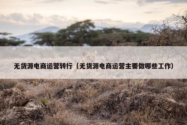 无货源电商运营转行（无货源电商运营主要做哪些工作）