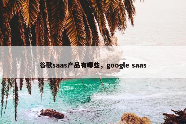 谷歌saas产品有哪些，google saas