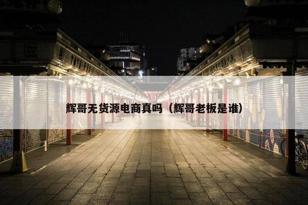 辉哥无货源电商真吗（辉哥老板是谁）