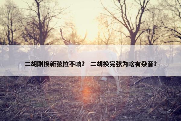 二胡刚换新弦拉不响？ 二胡换完弦为啥有杂音？