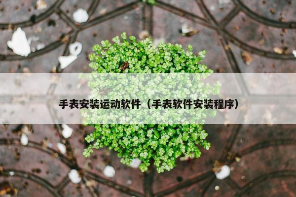 手表安装运动软件（手表软件安装程序）