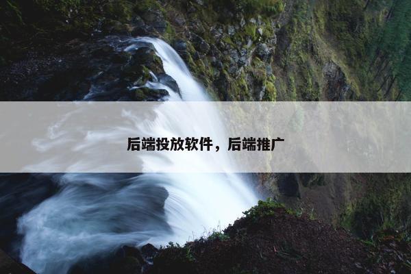 后端投放软件，后端推广