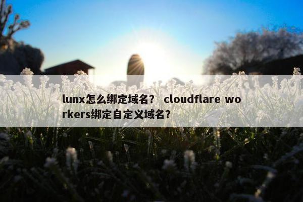 lunx怎么绑定域名？ cloudflare workers绑定自定义域名？