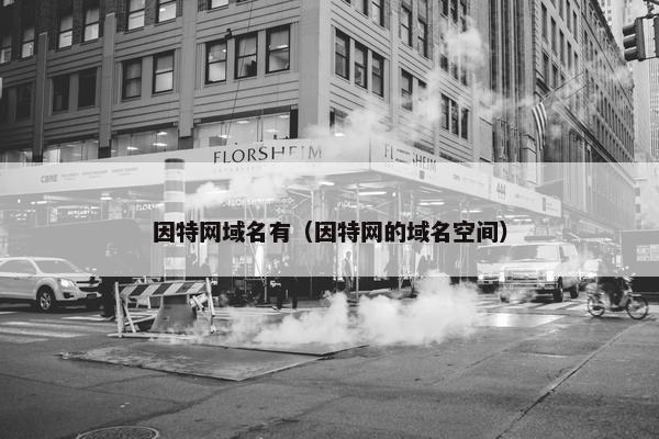 因特网域名有（因特网的域名空间）