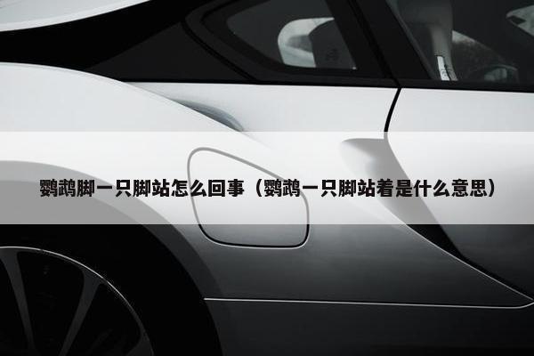 鹦鹉脚一只脚站怎么回事（鹦鹉一只脚站着是什么意思）