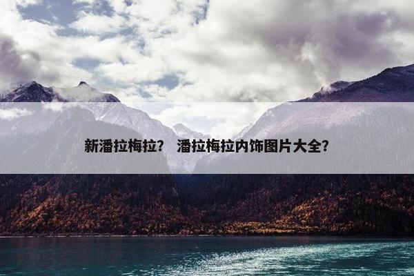 新潘拉梅拉？ 潘拉梅拉内饰图片大全？