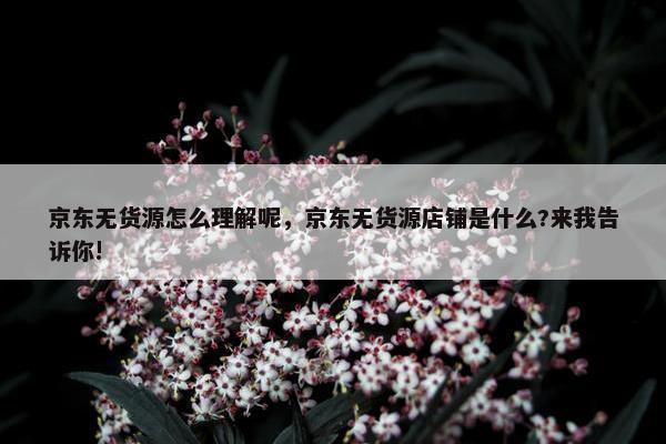 京东无货源怎么理解呢，京东无货源店铺是什么?来我告诉你!