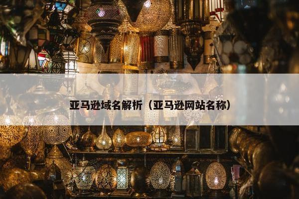 亚马逊域名解析（亚马逊网站名称）