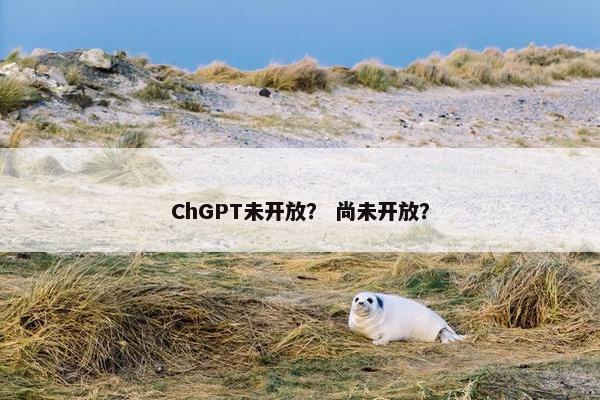 ChGPT未开放？ 尚未开放？