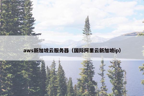 aws新加坡云服务器（国际阿里云新加坡ip）