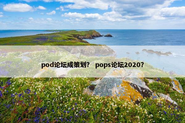 pod论坛成策划？ pops论坛2020？