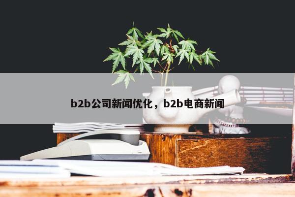 b2b公司新闻优化，b2b电商新闻