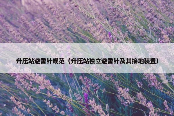升压站避雷针规范（升压站独立避雷针及其接地装置）