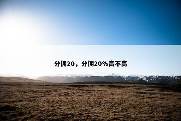 分佣20，分佣20%高不高