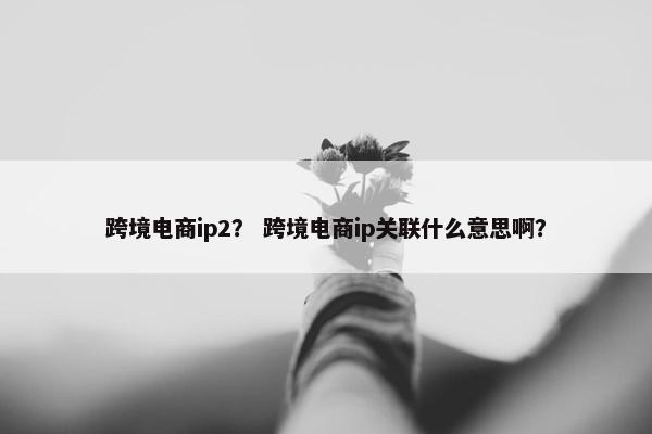 跨境电商ip2？ 跨境电商ip关联什么意思啊？