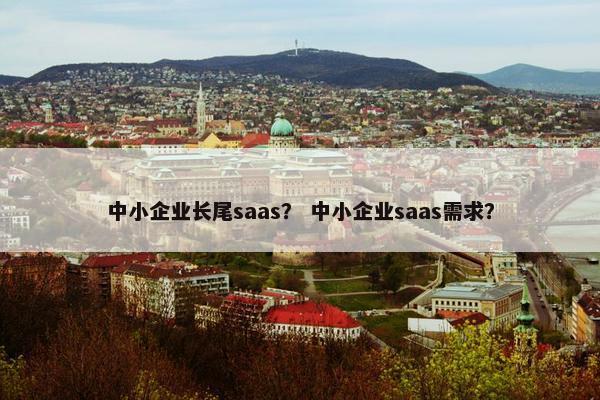 中小企业长尾saas？ 中小企业saas需求？