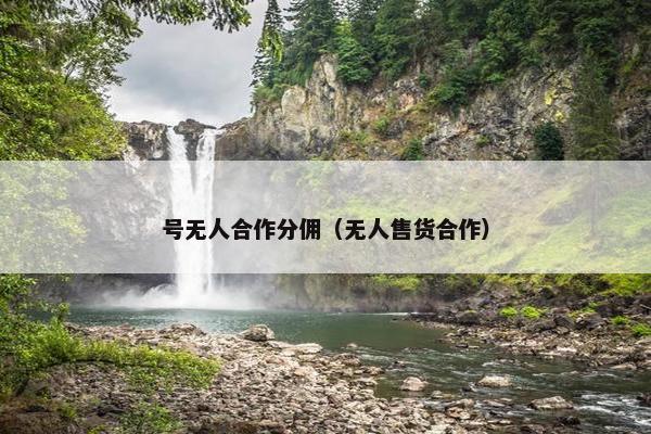 号无人合作分佣（无人售货合作）
