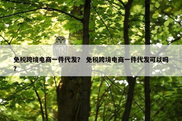 免税跨境电商一件代发？ 免税跨境电商一件代发可以吗？