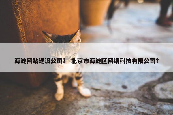 海淀网站建设公司？ 北京市海淀区网络科技有限公司？