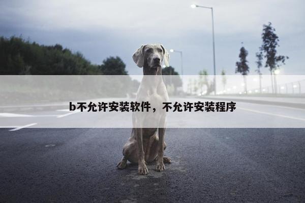 b不允许安装软件，不允许安装程序