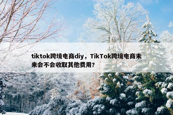 tiktok跨境电商diy，TikTok跨境电商未来会不会收取其他费用?