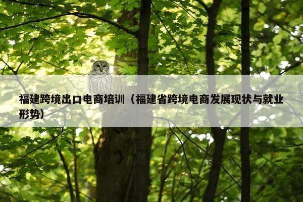 福建跨境出口电商培训（福建省跨境电商发展现状与就业形势）