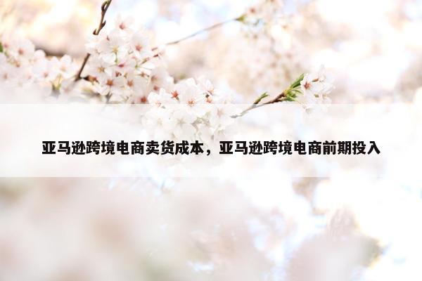 亚马逊跨境电商卖货成本，亚马逊跨境电商前期投入