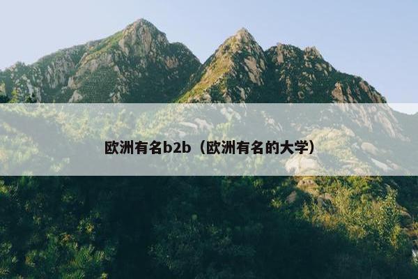 欧洲有名b2b（欧洲有名的大学）
