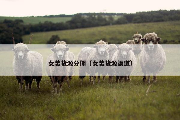 女装货源分佣（女装货源渠道）