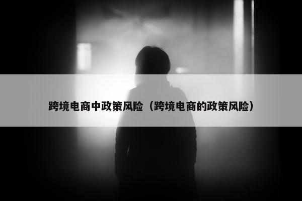 跨境电商中政策风险（跨境电商的政策风险）