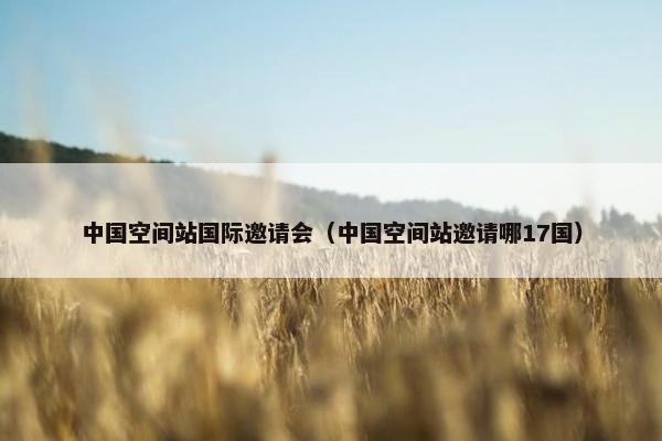 中国空间站国际邀请会（中国空间站邀请哪17国）