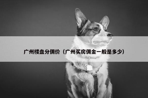 广州楼盘分佣价（广州买房佣金一般是多少）