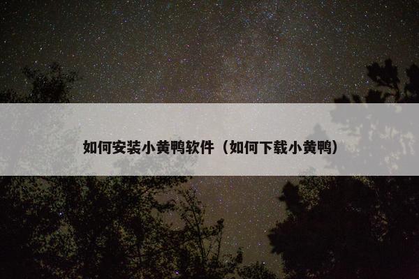 如何安装小黄鸭软件（如何下载小黄鸭）