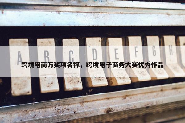 跨境电商方奖项名称，跨境电子商务大赛优秀作品