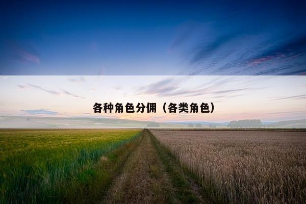各种角色分佣（各类角色）