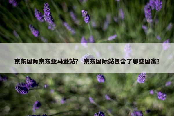 京东国际京东亚马逊站？ 京东国际站包含了哪些国家？