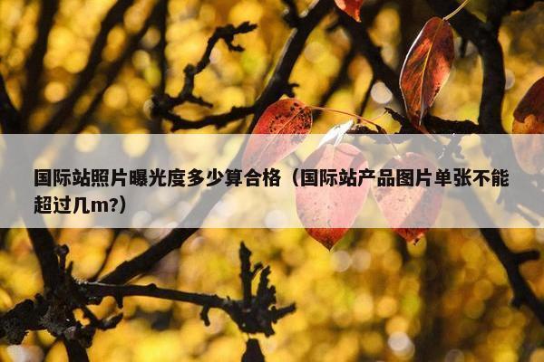 国际站照片曝光度多少算合格（国际站产品图片单张不能超过几m?）