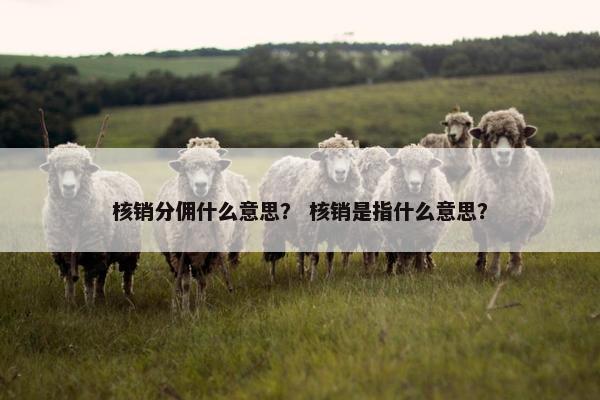 核销分佣什么意思？ 核销是指什么意思？