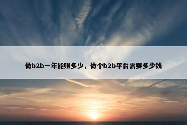 做b2b一年能赚多少，做个b2b平台需要多少钱