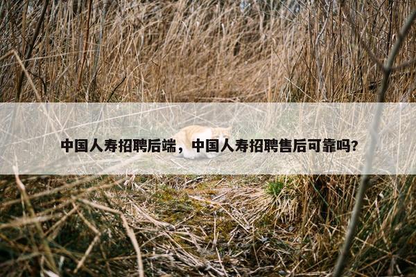 中国人寿招聘后端，中国人寿招聘售后可靠吗?