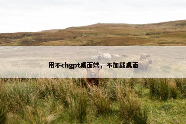 用不chgpt桌面端，不加载桌面