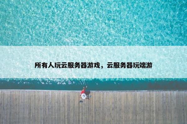 所有人玩云服务器游戏，云服务器玩端游