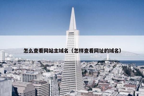 怎么查看网站主域名（怎样查看网址的域名）